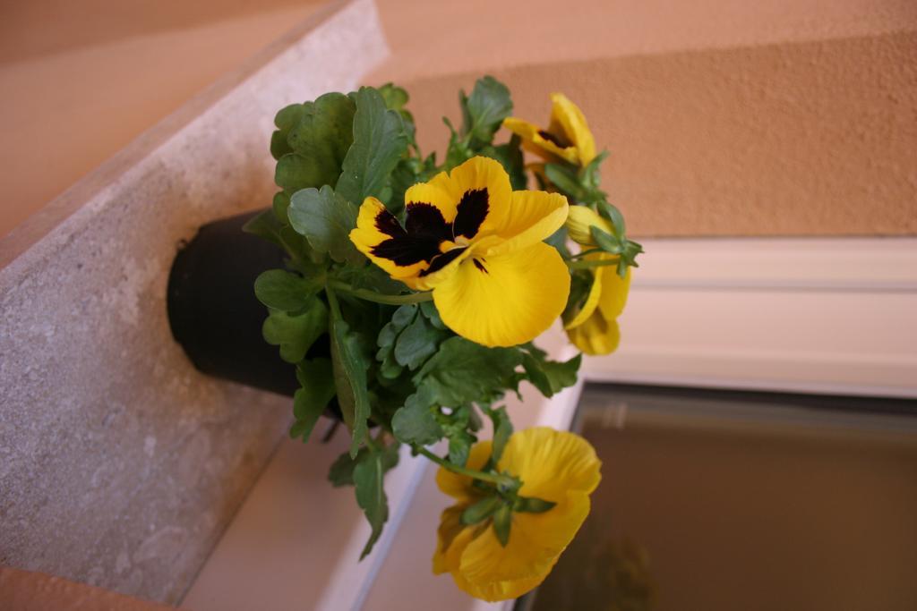 Bed and Breakfast Note Sulla Piazza Cagliari Exterior foto